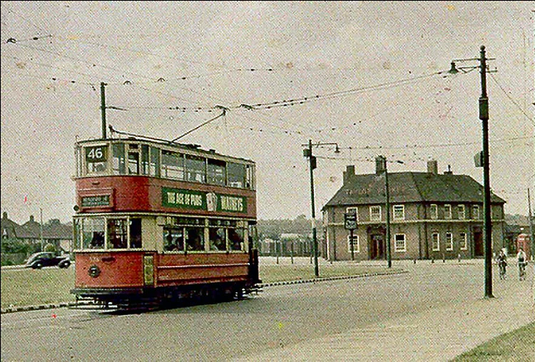 A Brief History of The Yorkshire Grey