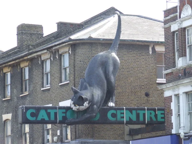 Catford Cat