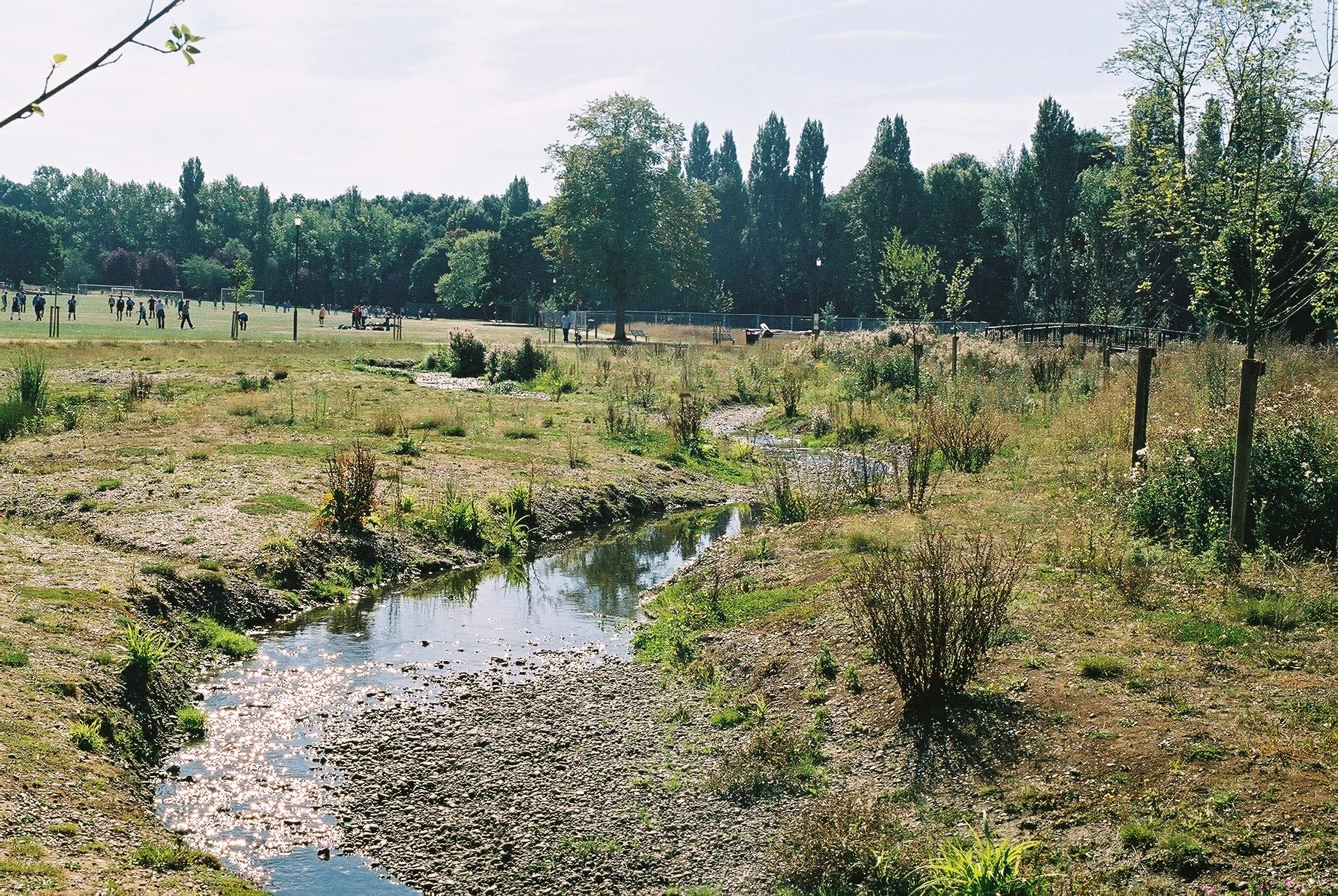 Chinbrook Meadows