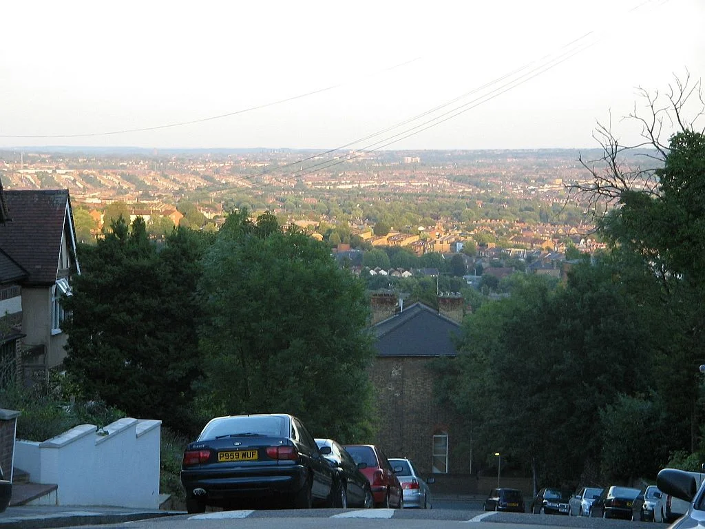 View from Forest Hill