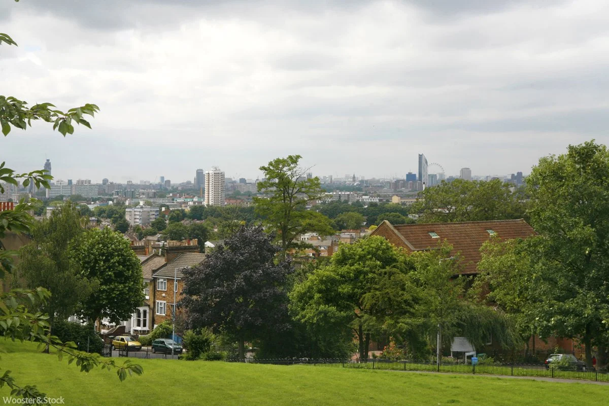 Telegraph Hill Park