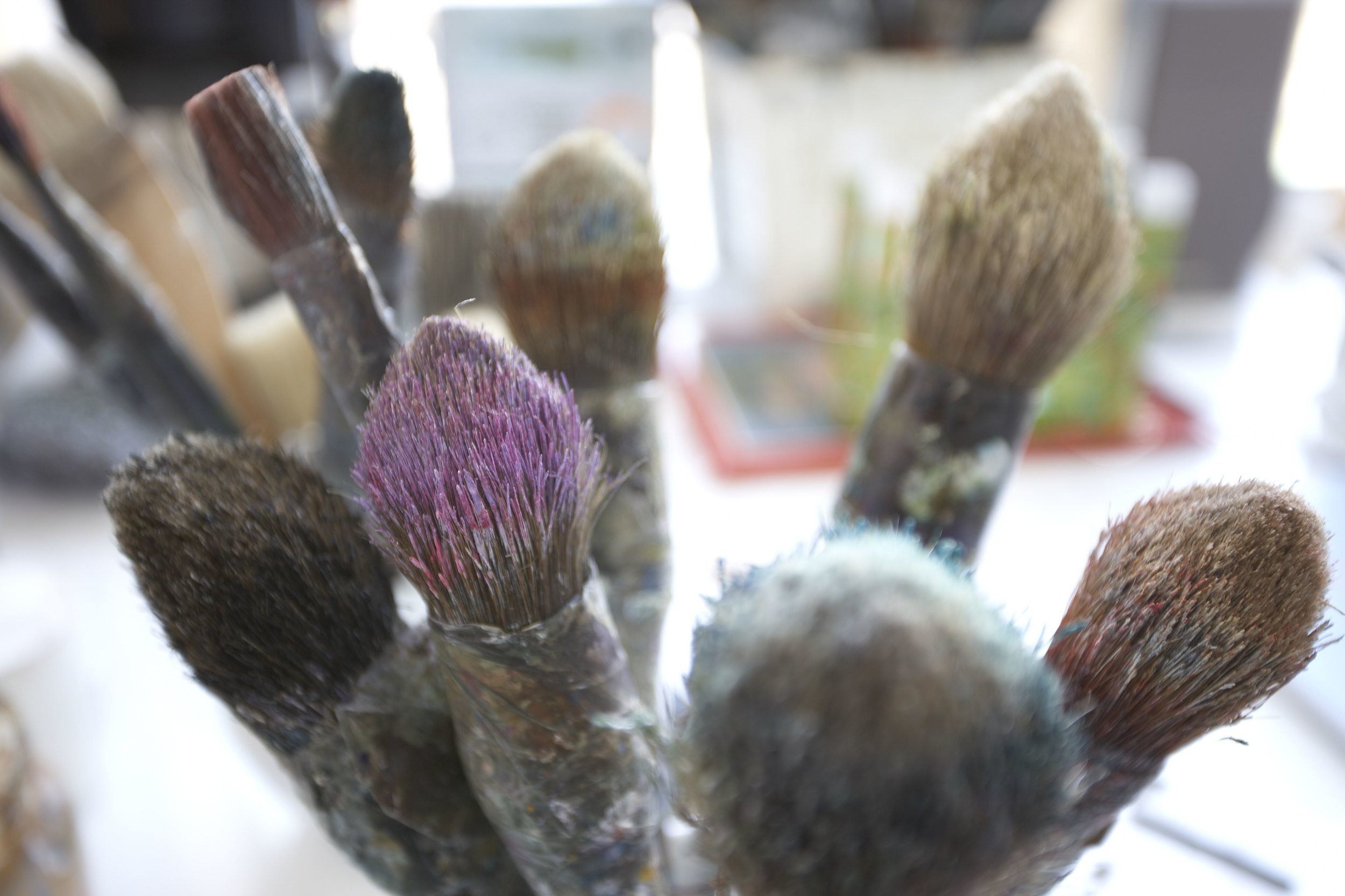 Brushes.jpg