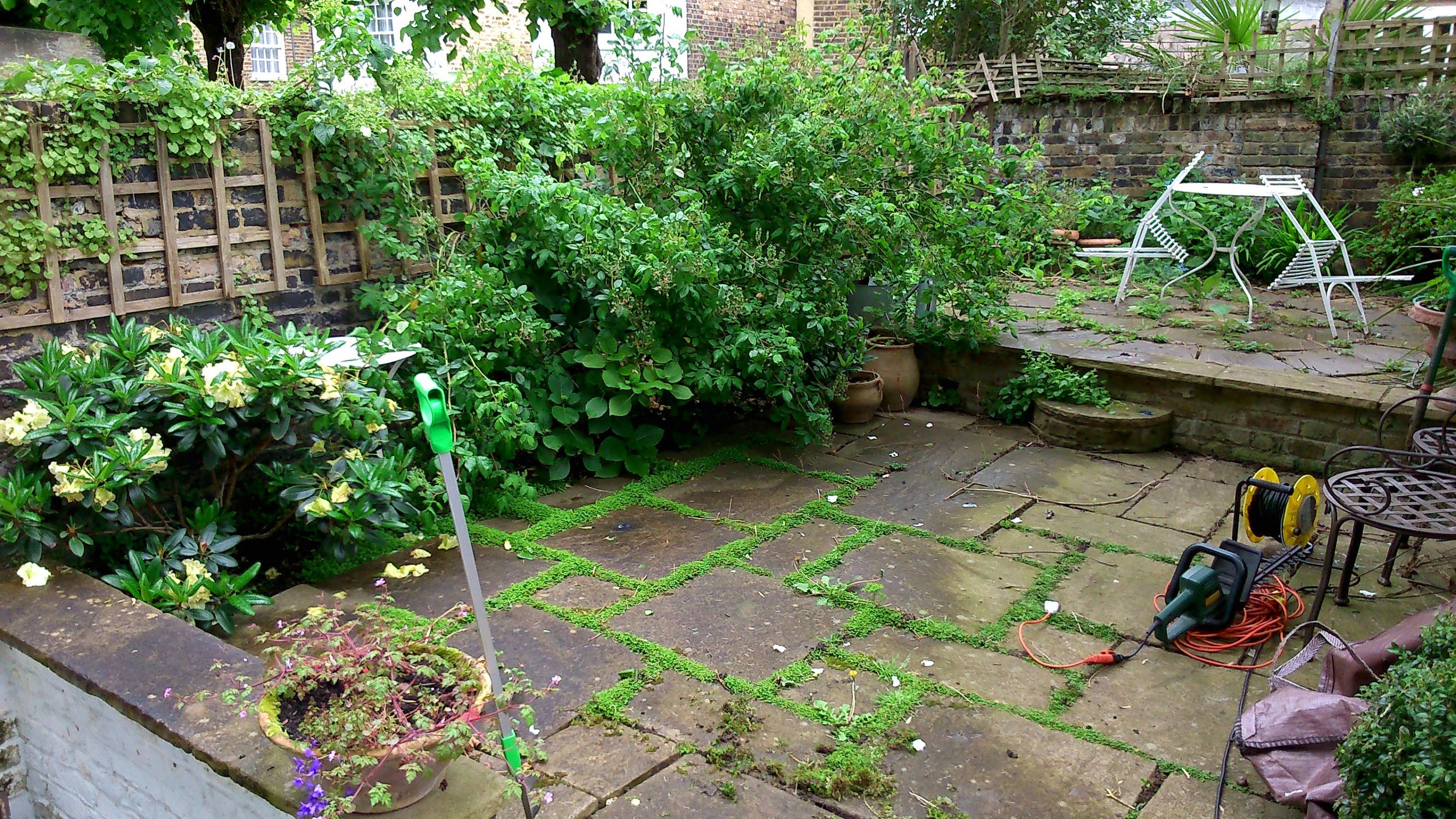 N E Gardencare Landscaping and Gardening in South East London Club Card 6.jpg