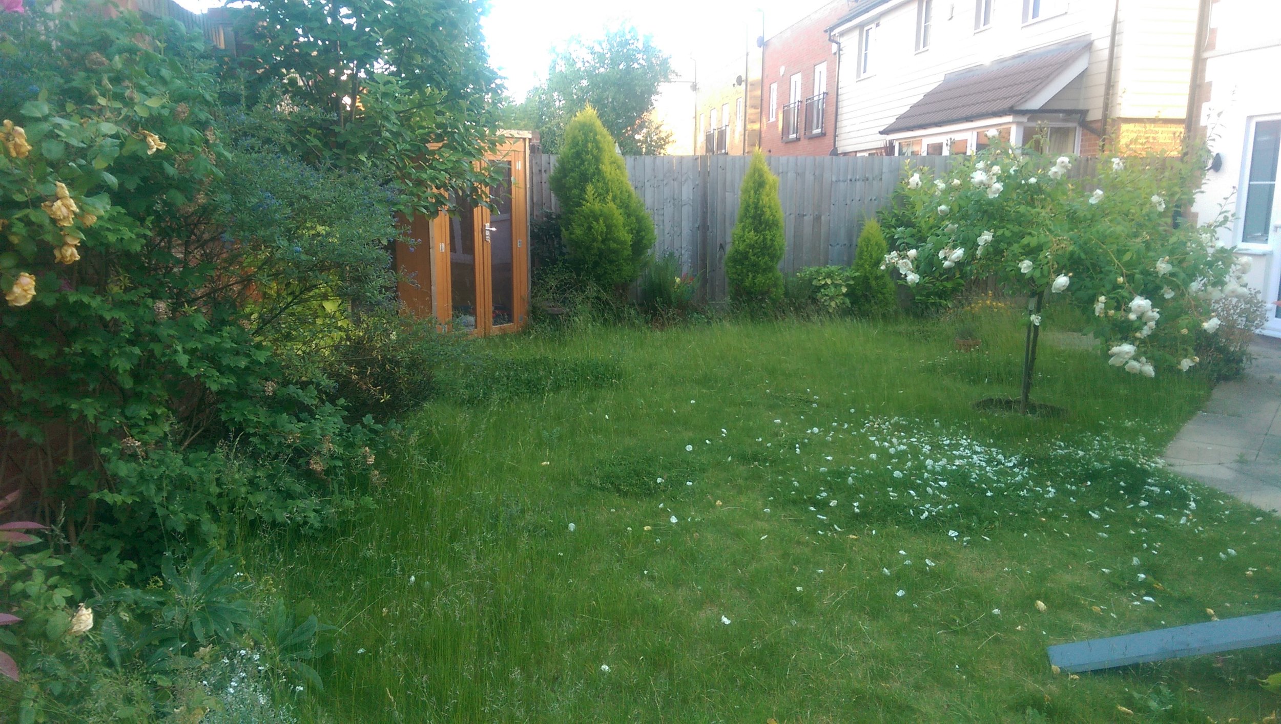 N E Gardencare Landscaping and Gardening in South East London Club Card 10.jpg