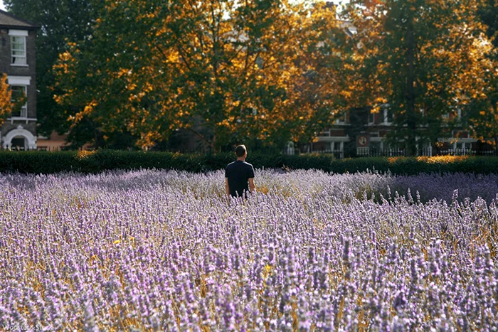 south-london-club-vauxhall-lavender-gardens.jpg