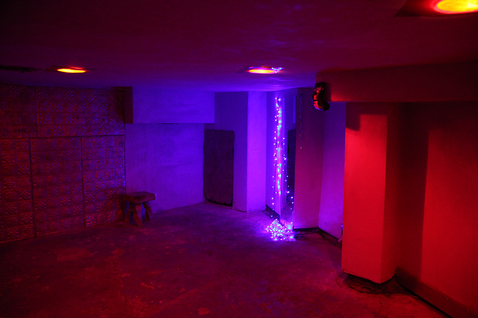 Blue Turtle Oasis Cafe and Venue in Loughborough Junction 2.jpg