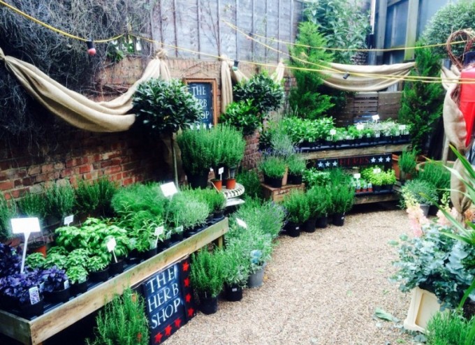 herb-shop-small-e1413973482159-680x494.jpg