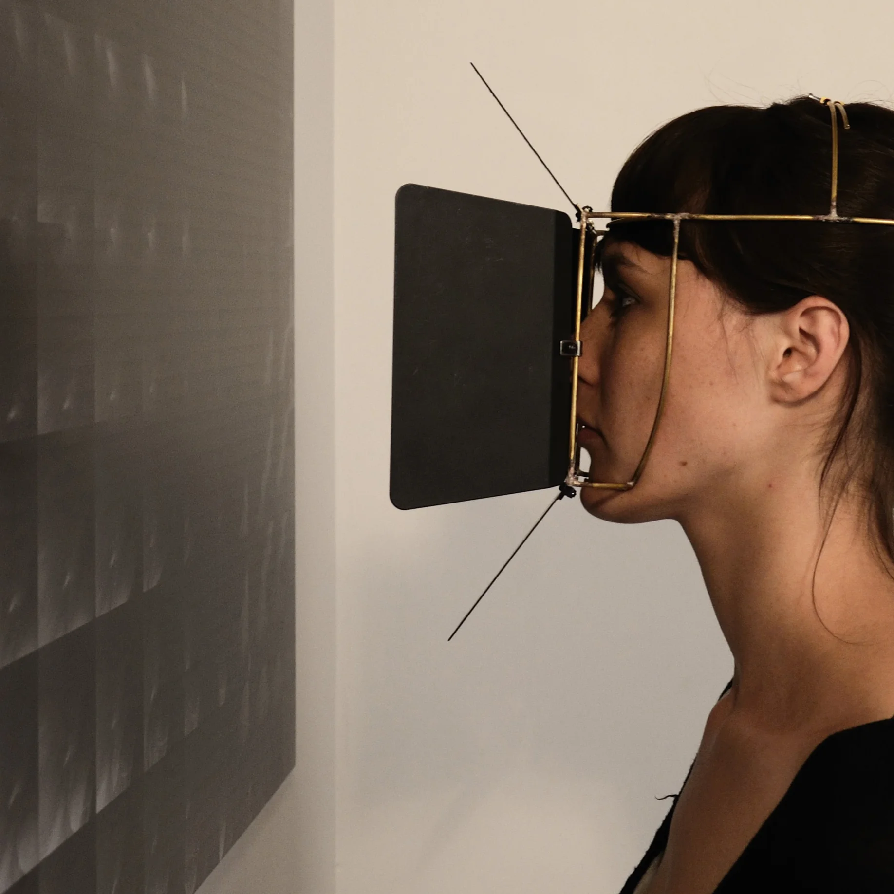blinkers_6890823345_cropped2.jpg