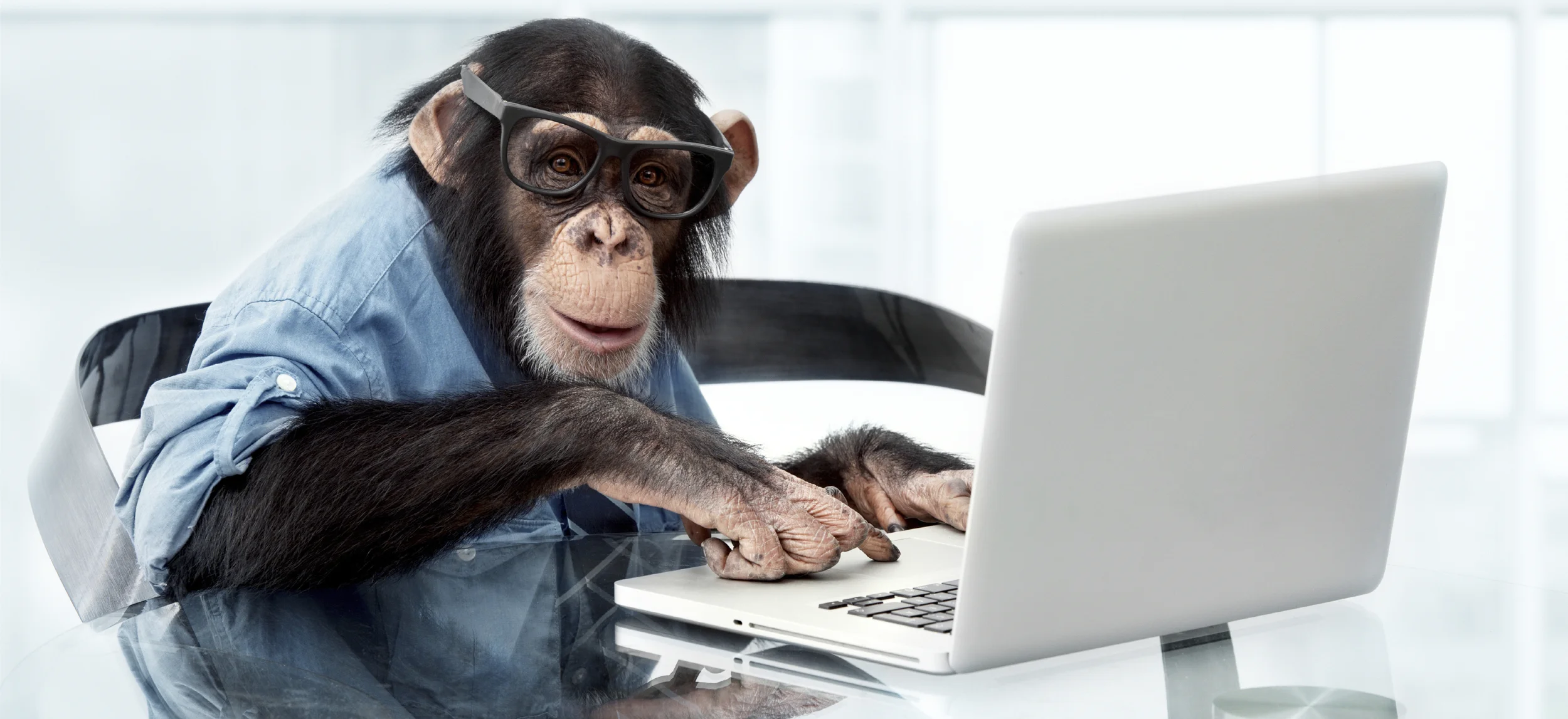 The Chimp at the Keyboard
