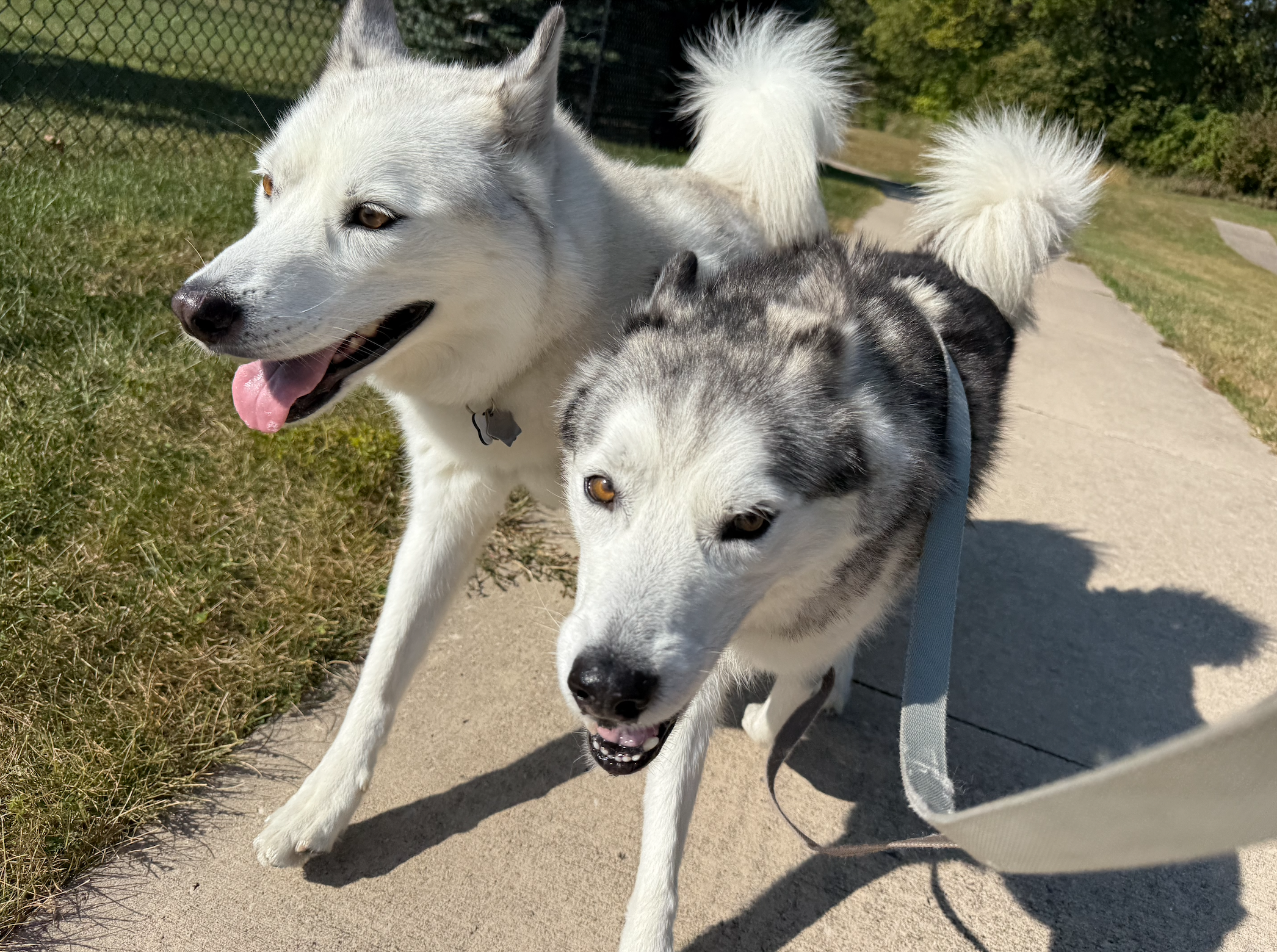 2026 Spring/Summer Hiring