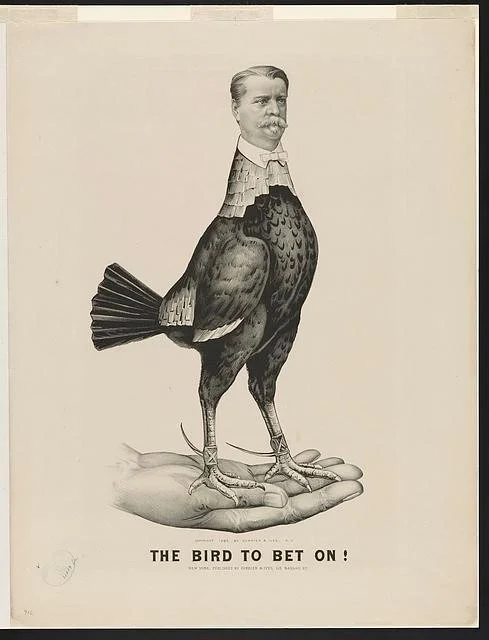 1880 the bird to bet on.jpg