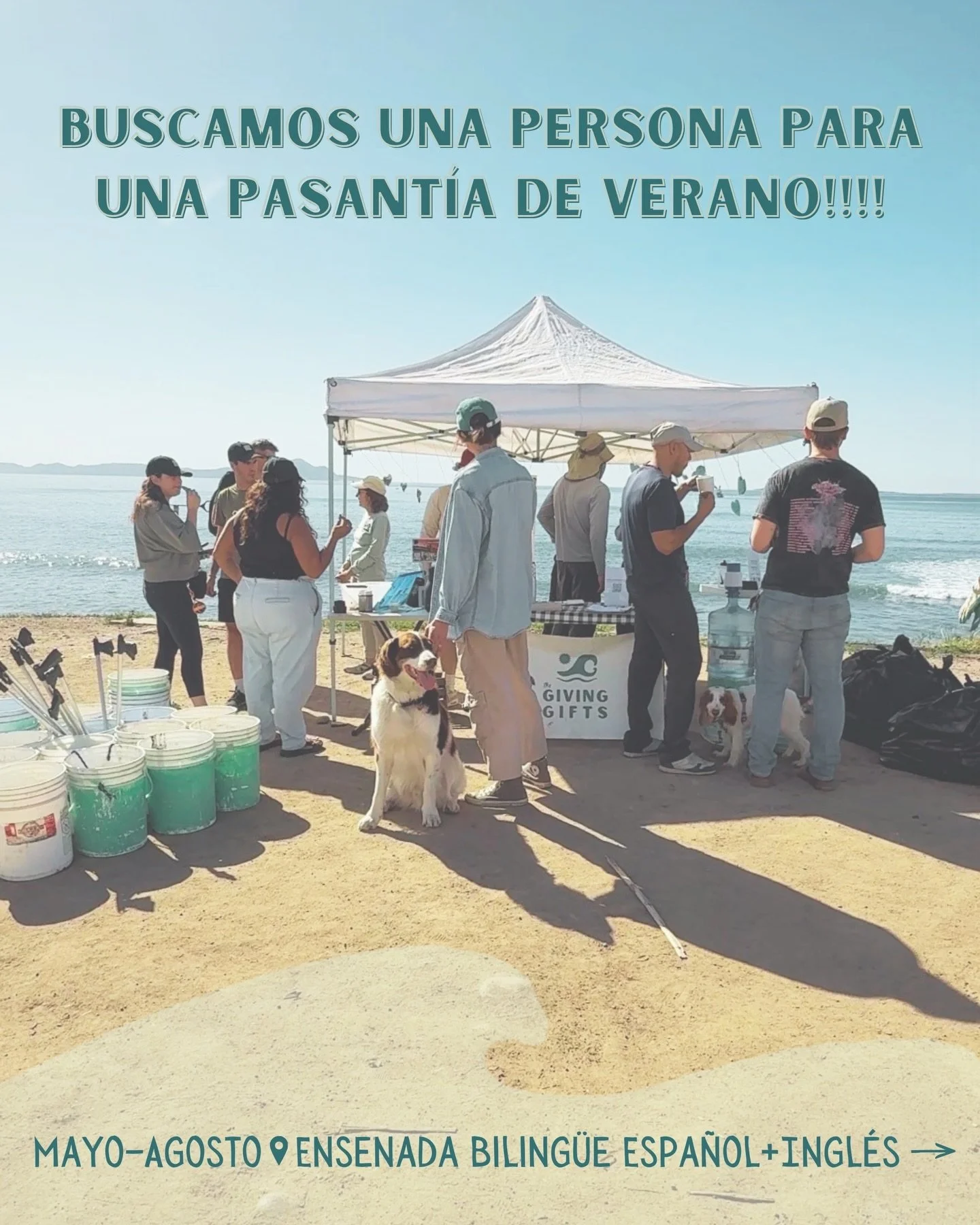Buscamos una persona para una pasant&iacute;a de verano 🌊✨
Mayo&ndash;Agosto en Ensenada

Alguien que est&eacute; emocionado/a por la comunidad y por crear espacios de cuidado + conexi&oacute;n. Horario flexible y de medio tiempo (perfecto para estu