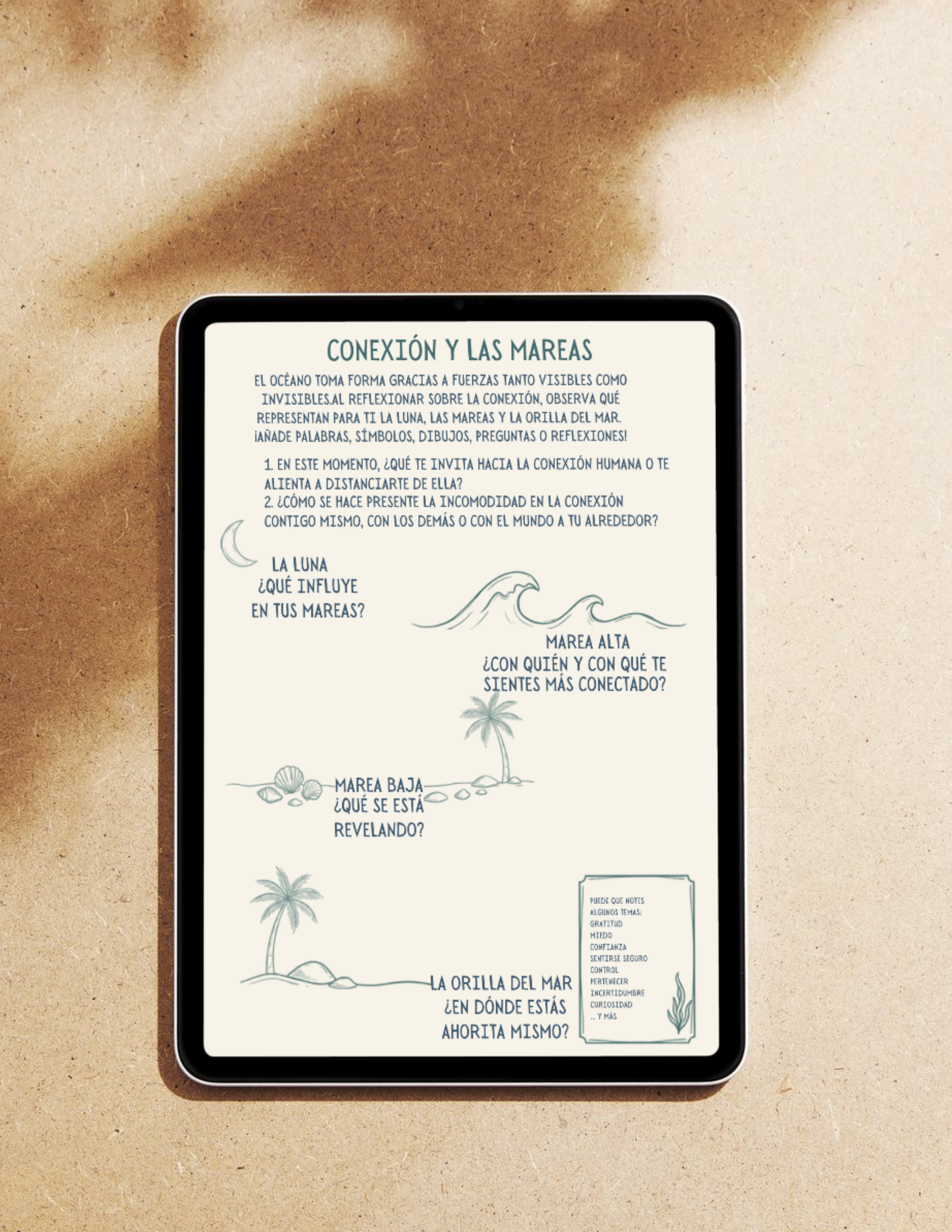 World ocean day reflection.png