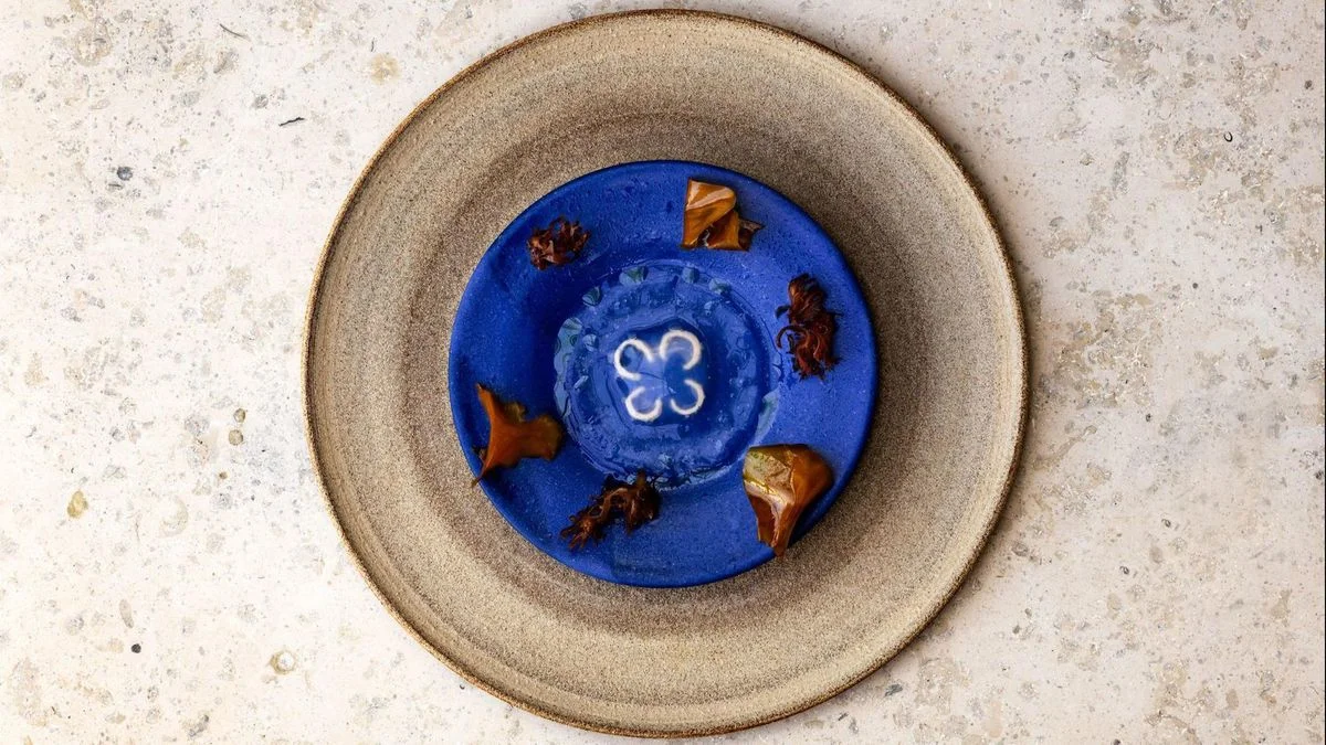 Noma Reinvents Itself