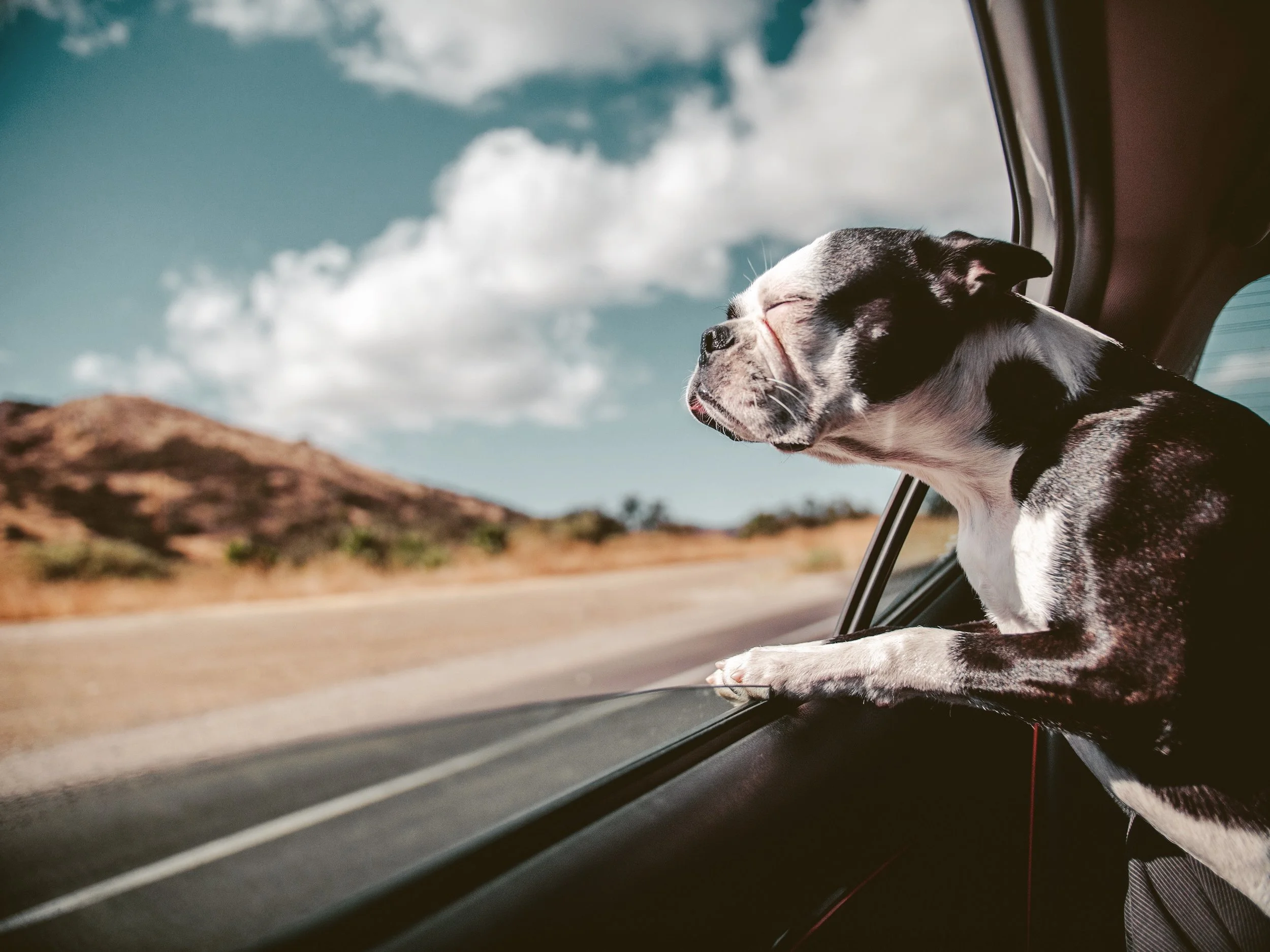 Chuck Klosterman on Road Movies