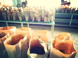  Principalement nos produits agricoles sont des semences cultivées principalement pour l'extraction de leurs huiles, notamment le soya. Aussi, nous commercialisons produits agricoles tels que les engrais.    