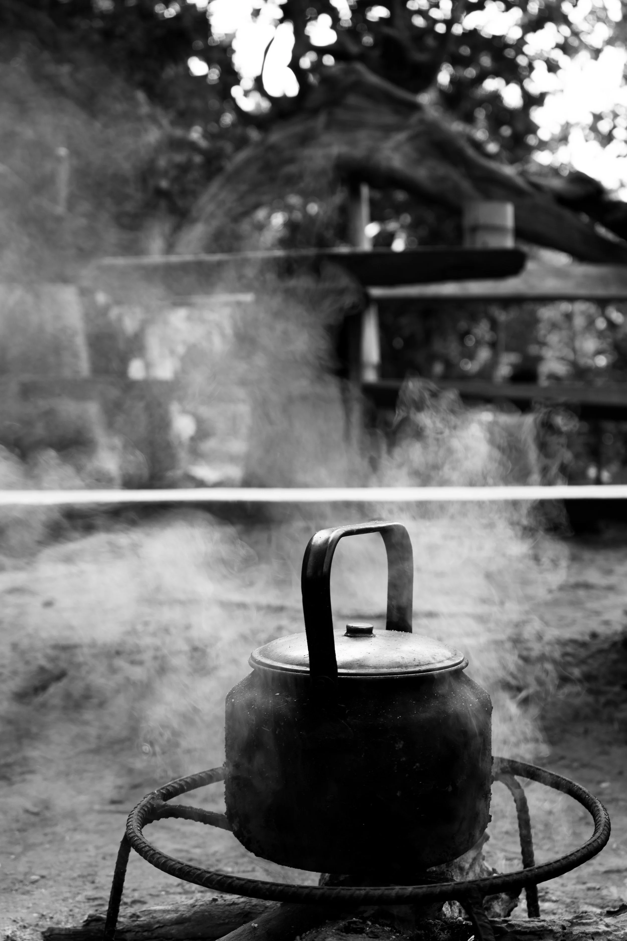 DSC02673-bw.jpg