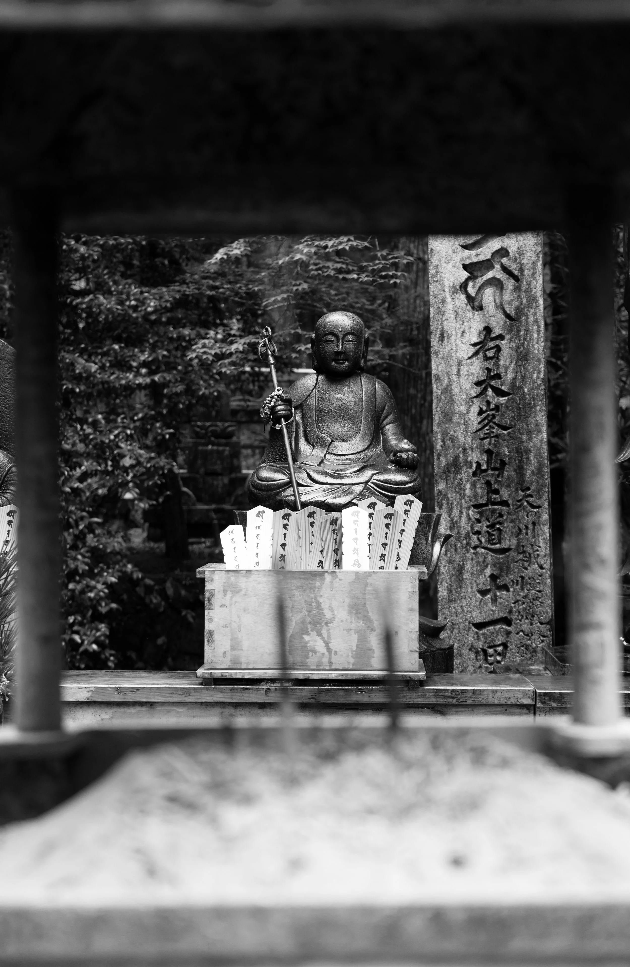 DSC06488-bw.jpg