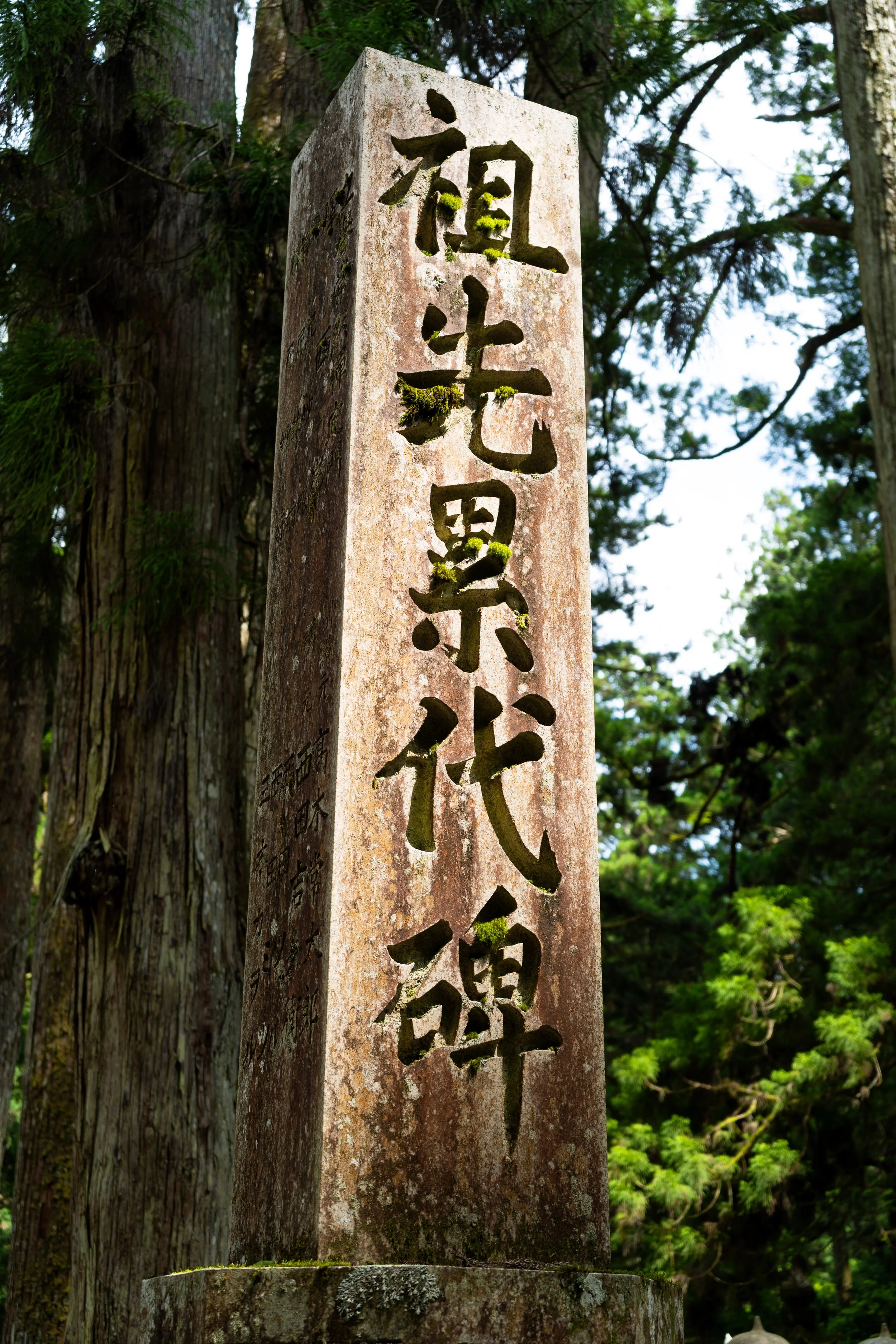 DSC06502.jpg