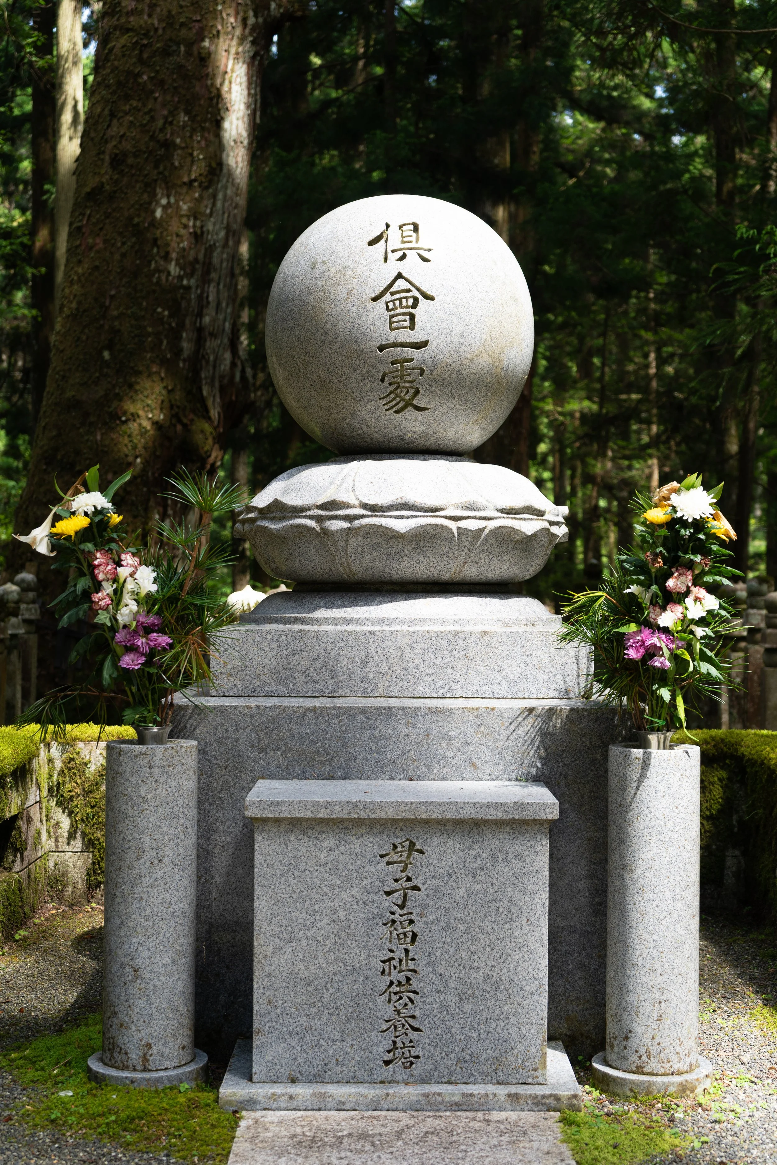 DSC06503.jpg