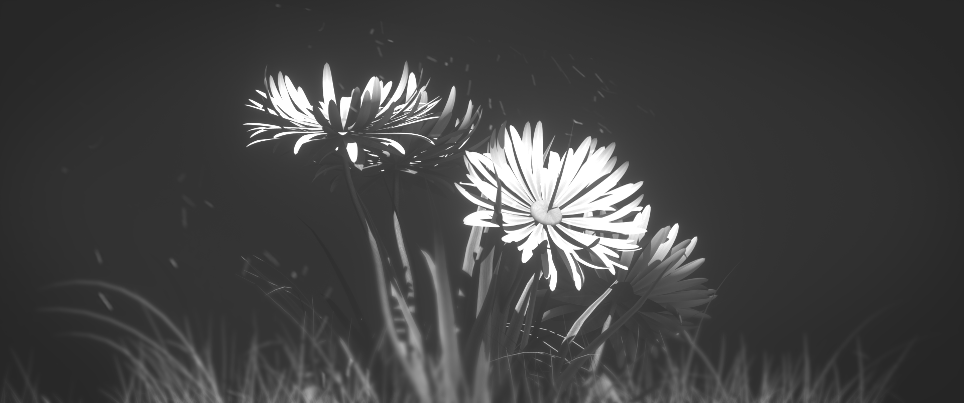 fleur_wide.png