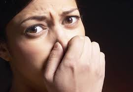  Bad Breath Science