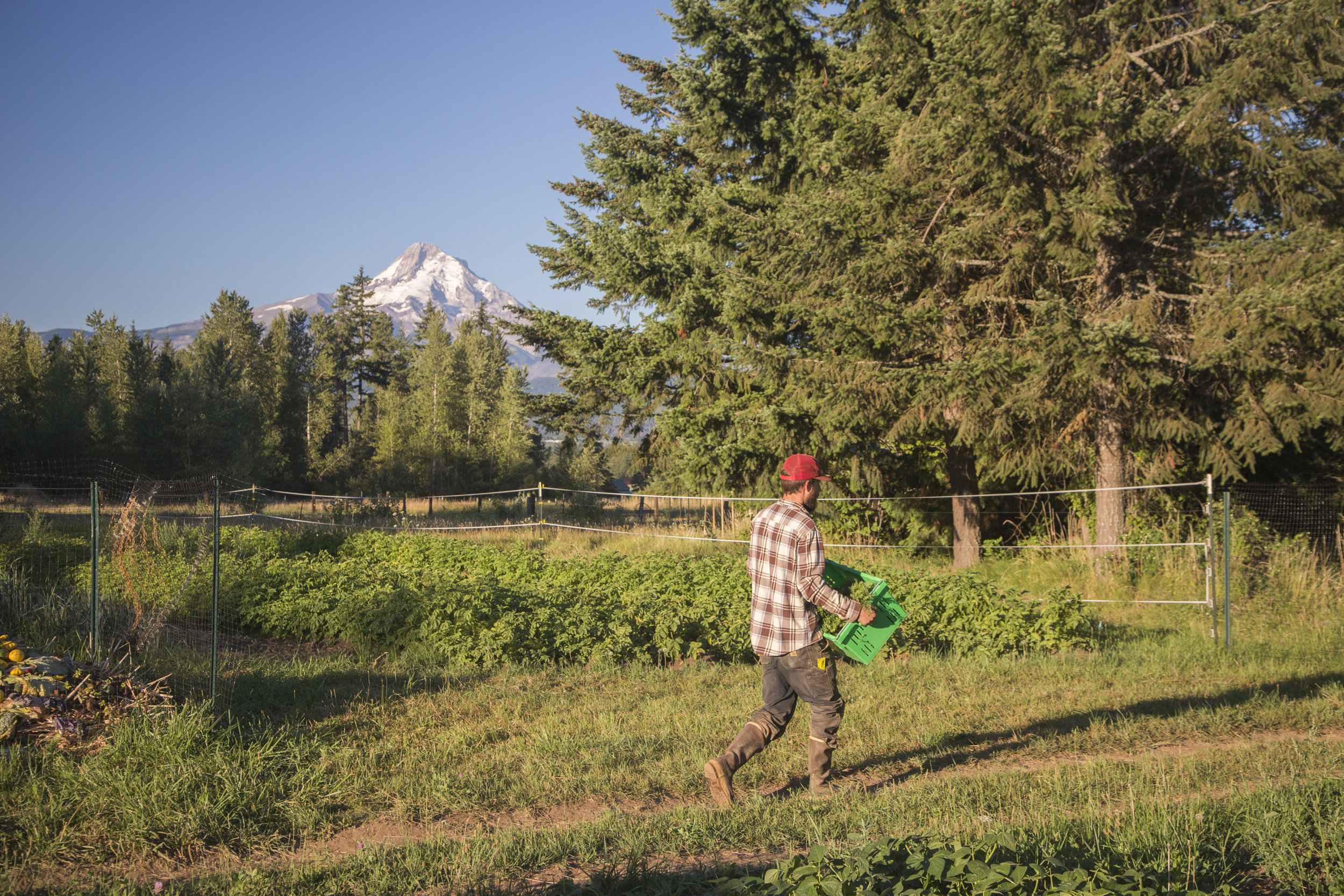 150729_Tumbleweed Farm117.jpg