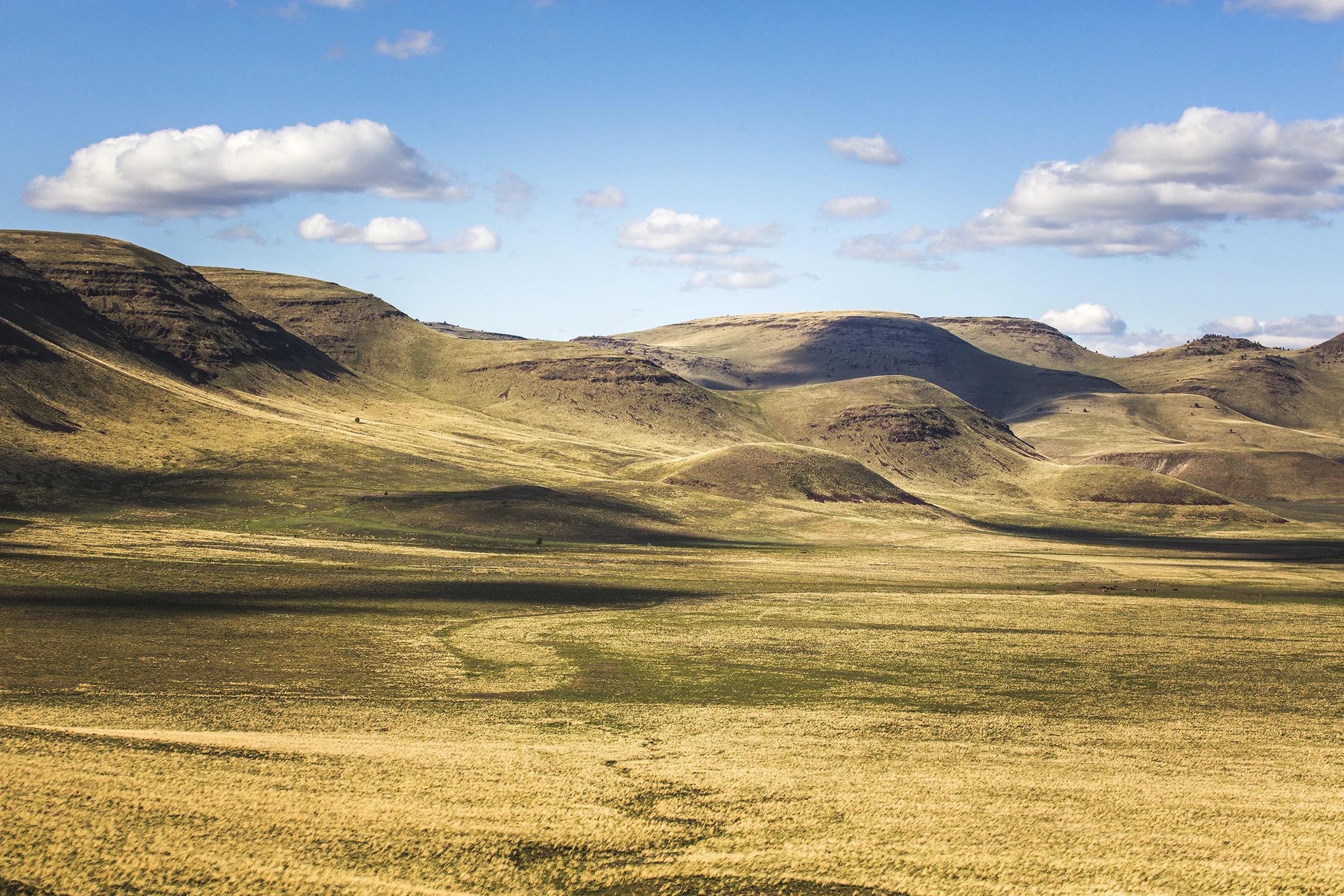 160416_DSH_Steens Bike Tour232.jpg
