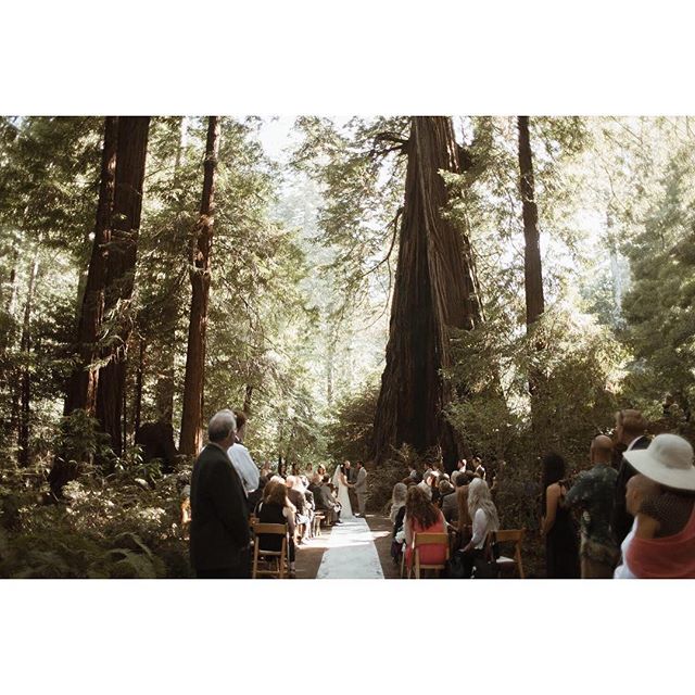 Making promises under the redwoods