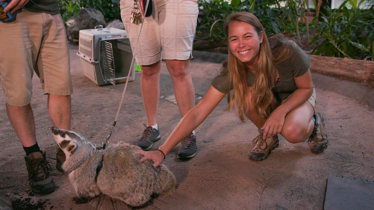 the face you make when you squeeze a badger bum and find out two more of your shows launched on @disneyplus today 💫 is this real life?

grab your kiddos and go watch &ldquo;Sam&rsquo;s Zookeeper Challenge&rdquo; and &ldquo;Scuba Sams World&rdquo;