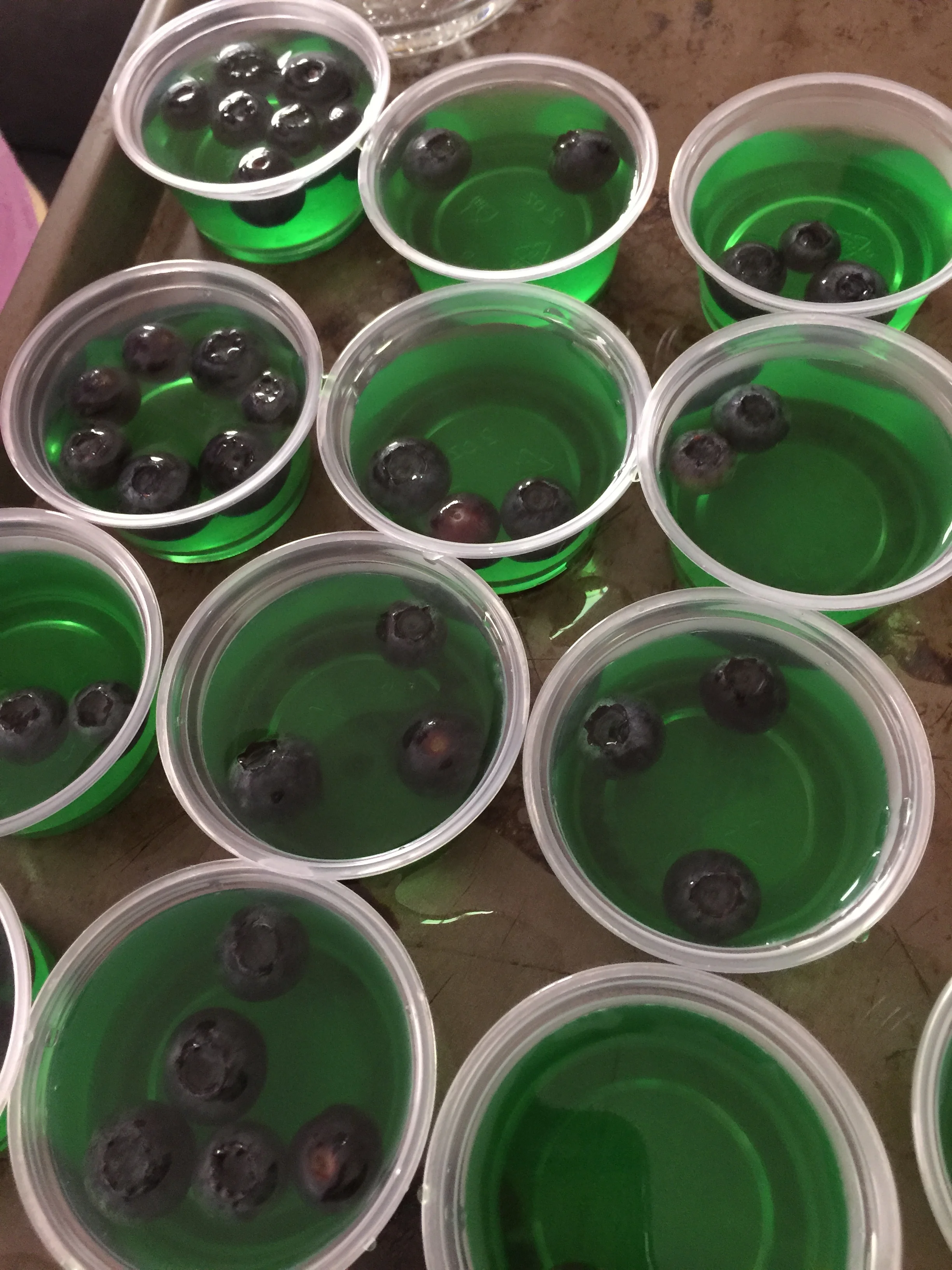 Jello Shots! Shots! Shots!