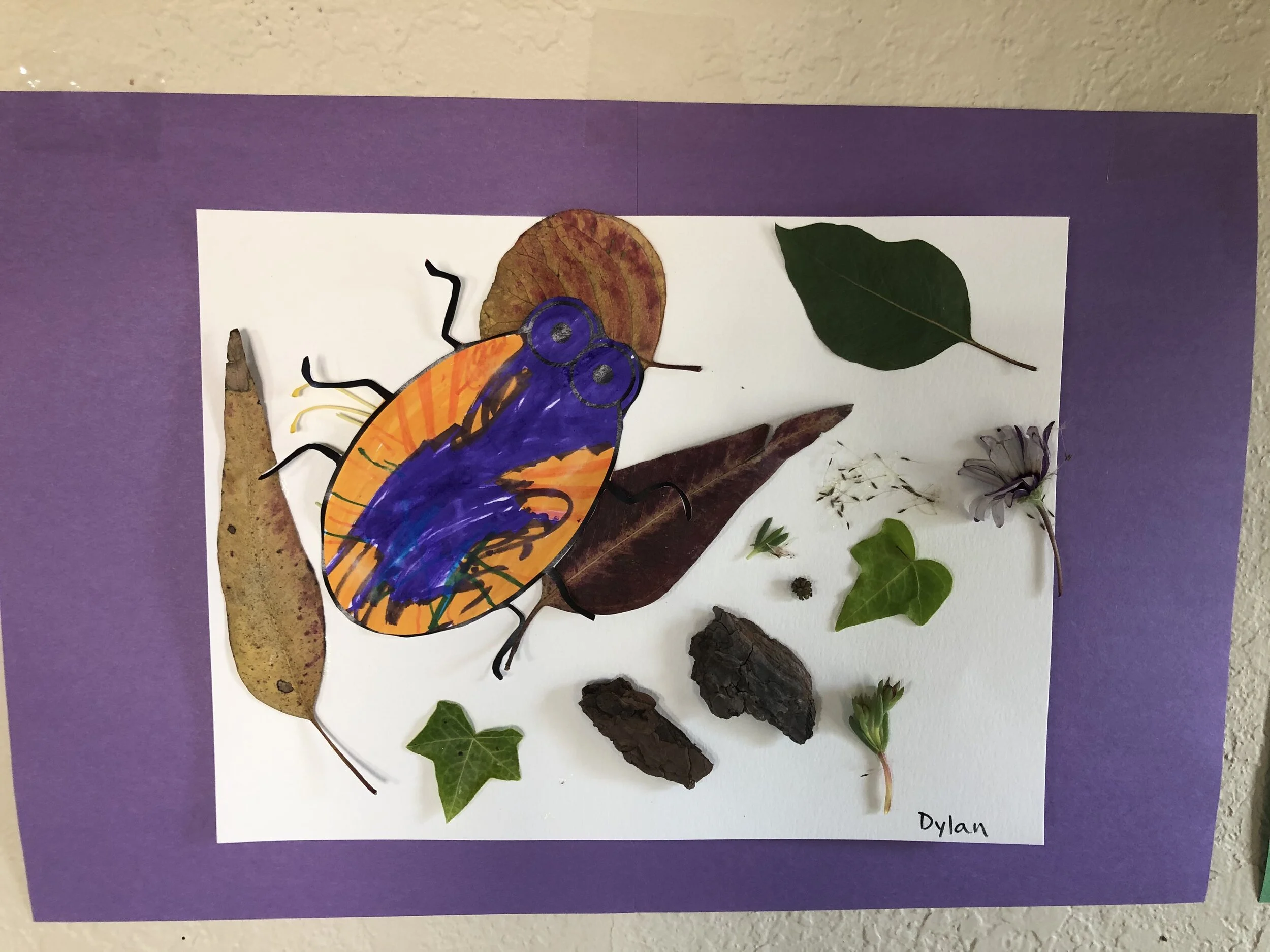 Spring Time Nature Art Project
