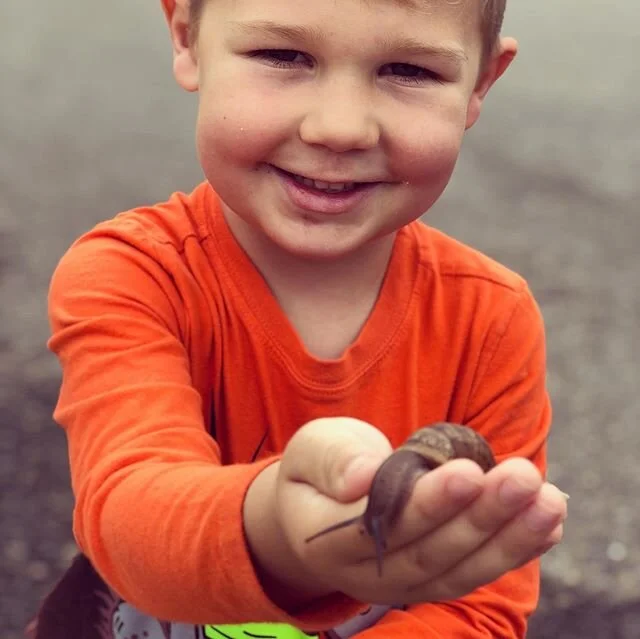 Day after the rain is perfect for a nature hike! #snails #bees #flowers #rollypolly #happyeaster #squirmywormybooks