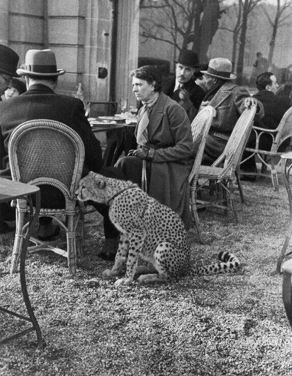 Woman with cheetah 1963 Paris cafe.jpg
