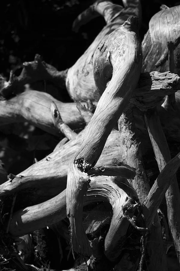 weathered sm.jpg