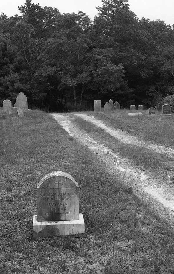 southpond1.jpg