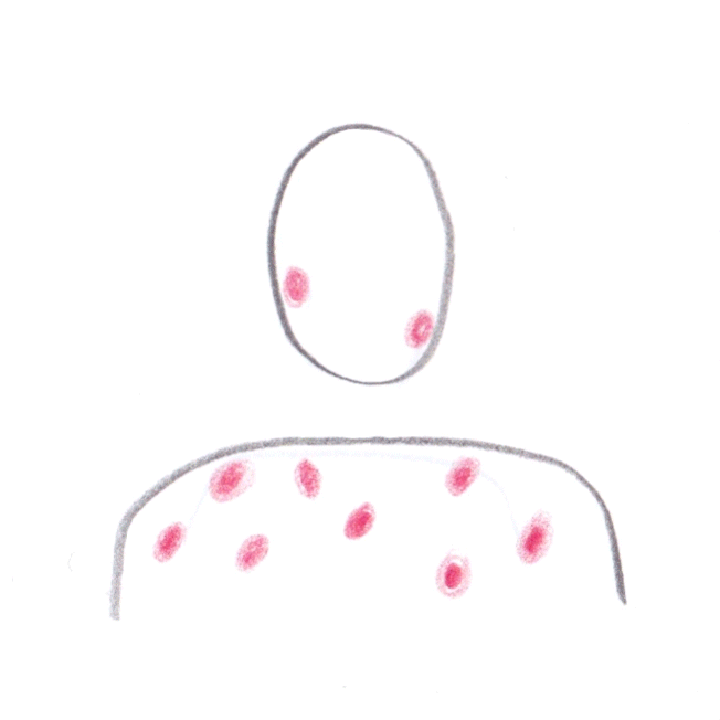 Tenth day of Christmas