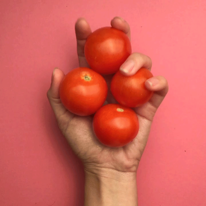 Fourth day of Christmas