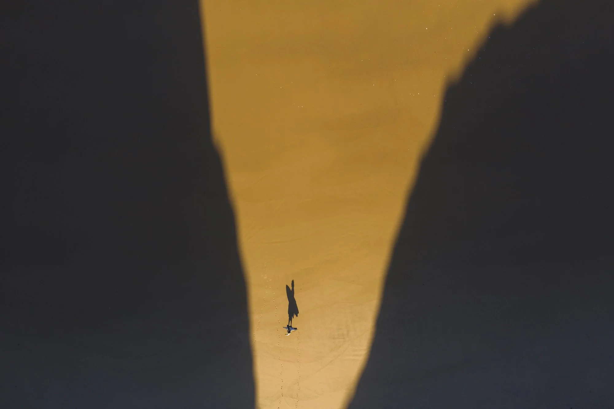 DJI_0445.jpeg