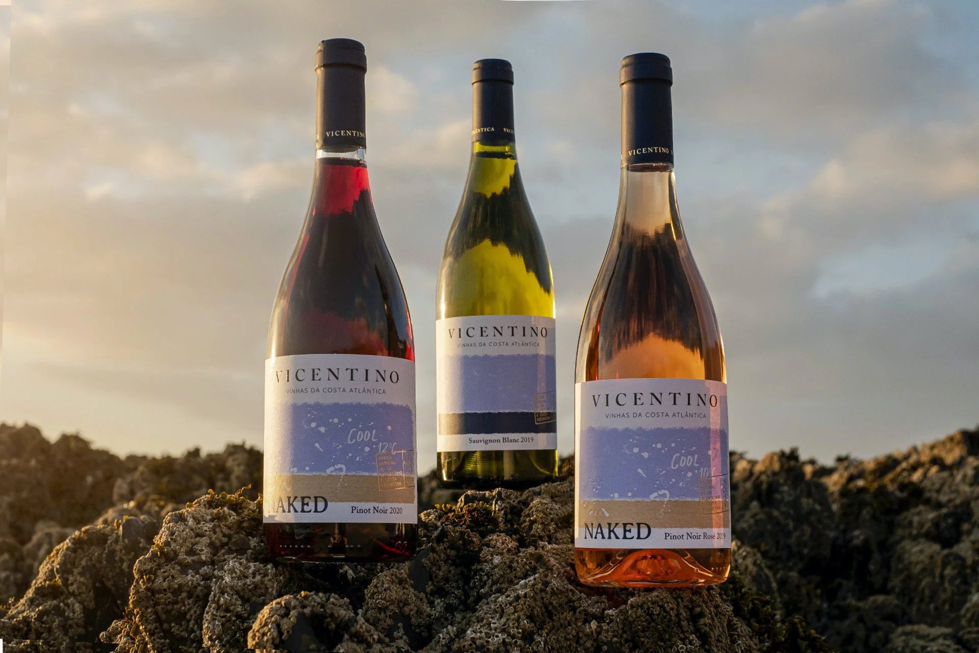 WhatsApp Image 2021-04-23 at 16.35.30.jpeg