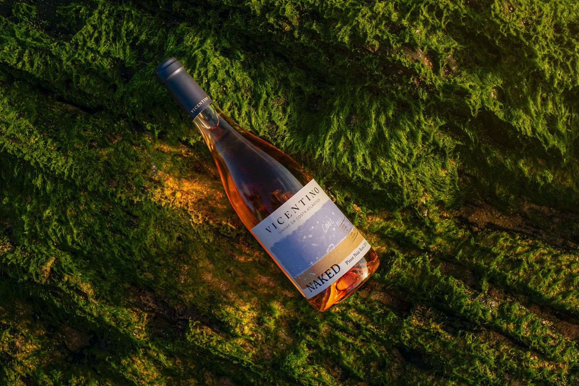 WhatsApp Image 2021-04-23 at 16.35.22.jpeg