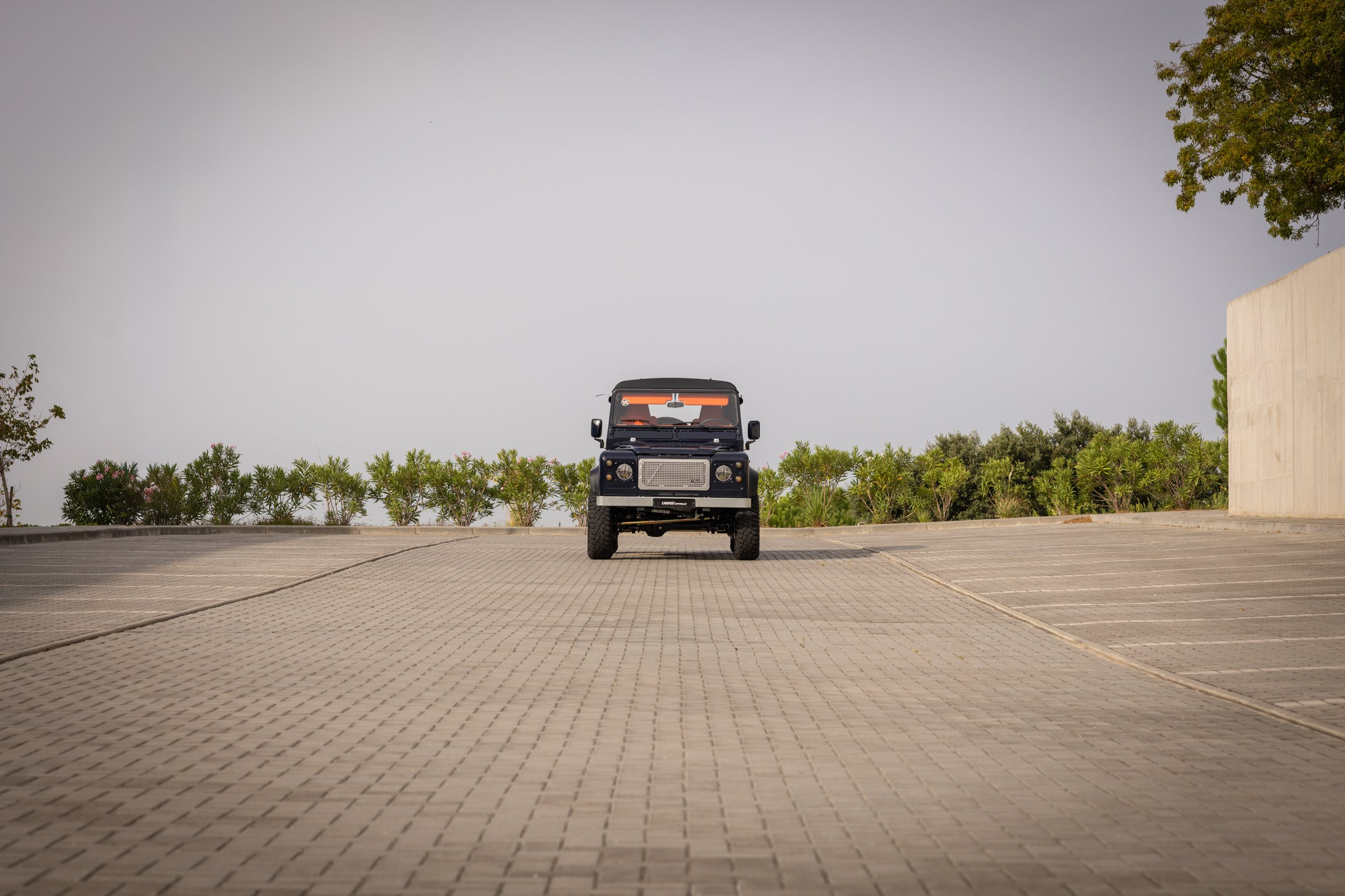 carhost_oranje low065.jpg