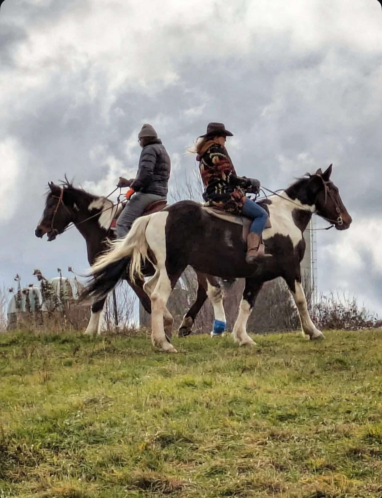 A great big thank you to Norm for letting us ride with him today, and for supplying Turquoise Terrapin with vintage horse tack for future Old West hat bands!