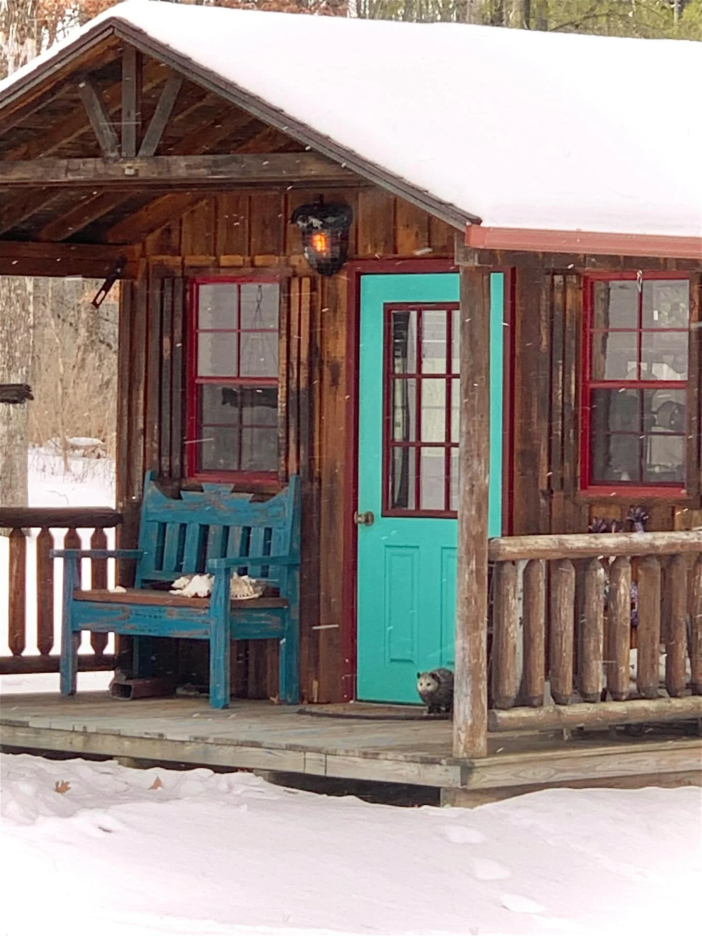 The studio has been blessed by the presence of of a possum! 🥰