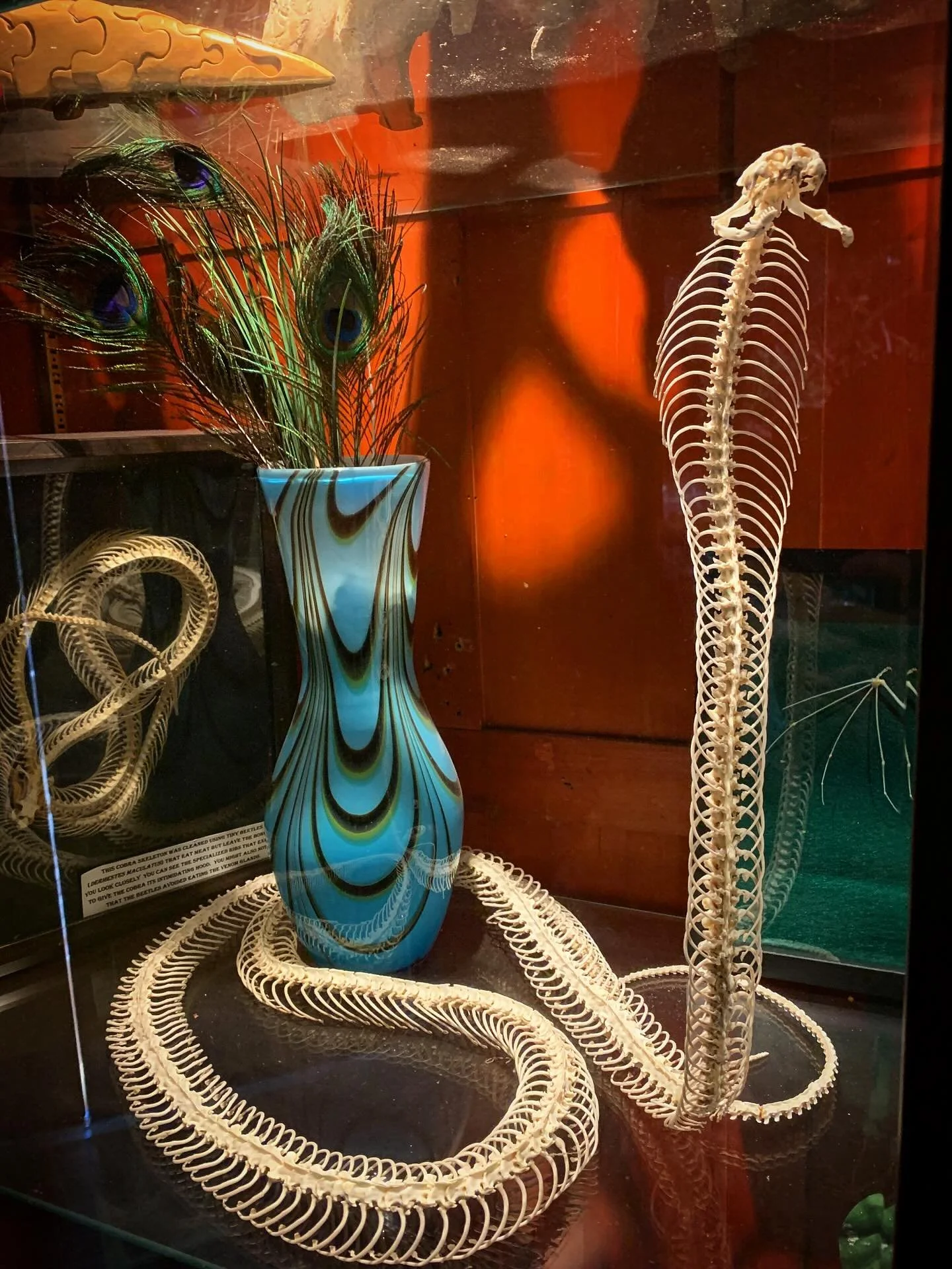 Why are the best things in life NFS? 😭