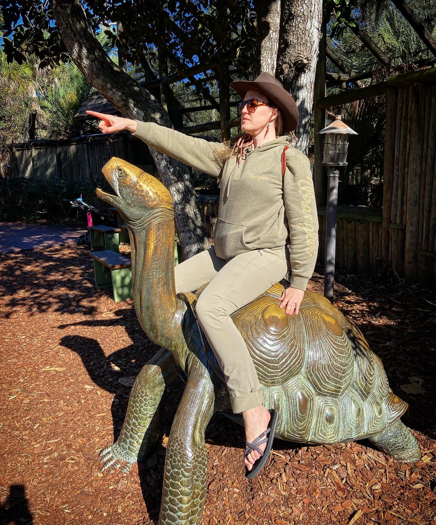 Onward, noble steed! 🐢 🤠