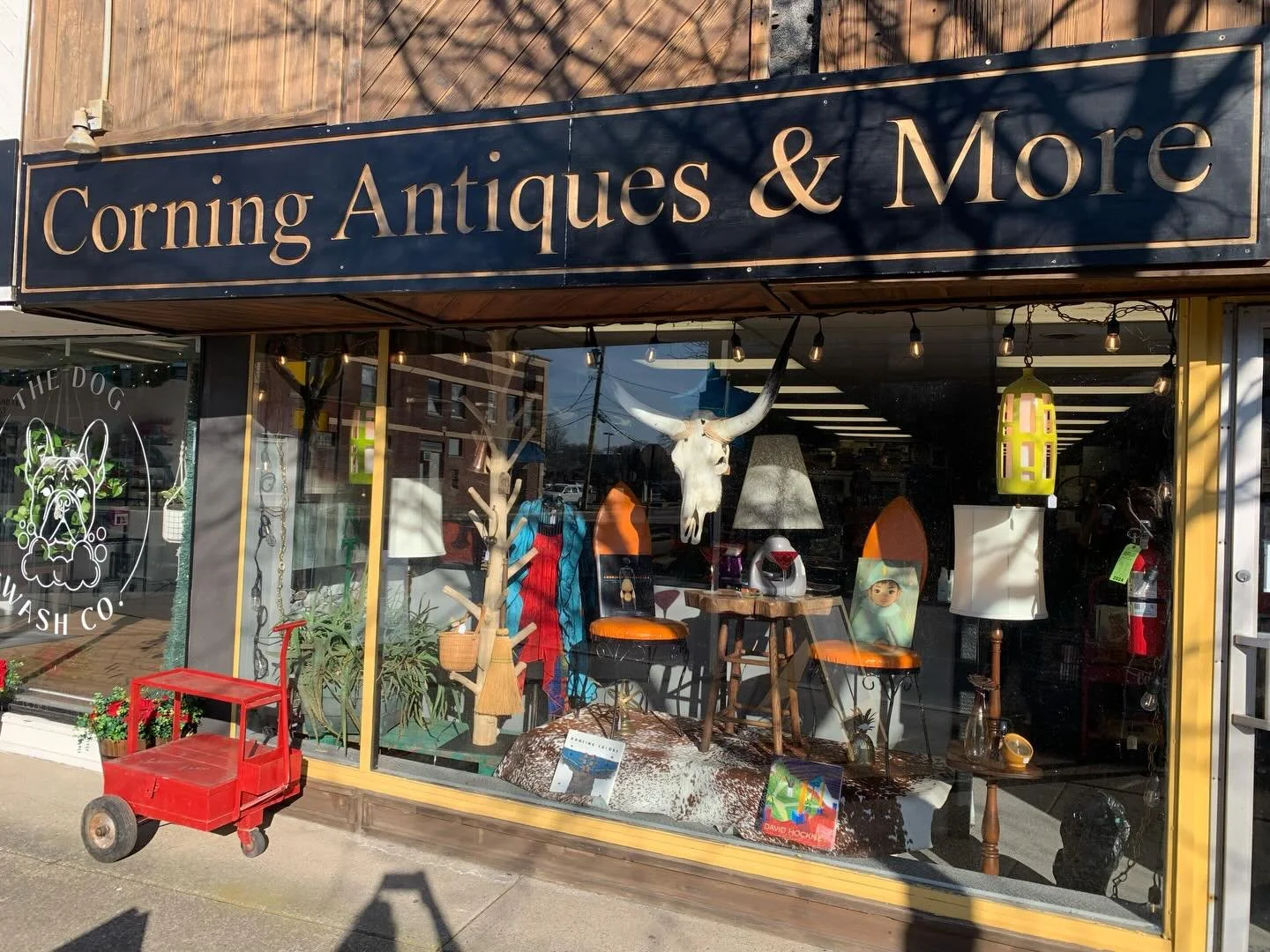 Refreshed the store window and my booth at Corning Antiques &amp; More !
Notable new items: 
Vintage Leather Mirror $125
Coat Rack Tree from Thailand: $425
Blesboksk Skull: $195