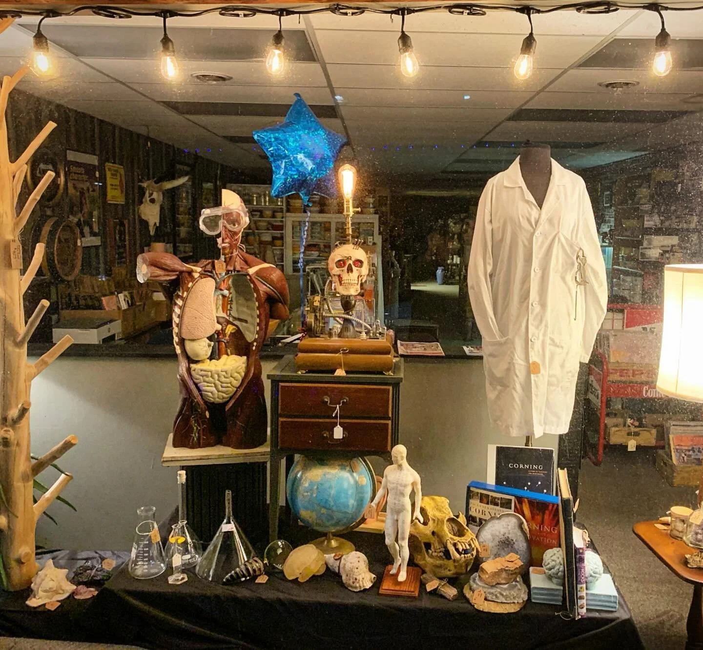 In anticipation of the upcoming CPP Science Fair we made up a &ldquo;professor&rsquo;s lab&rdquo; themed window at Corning Antiques &amp; More!