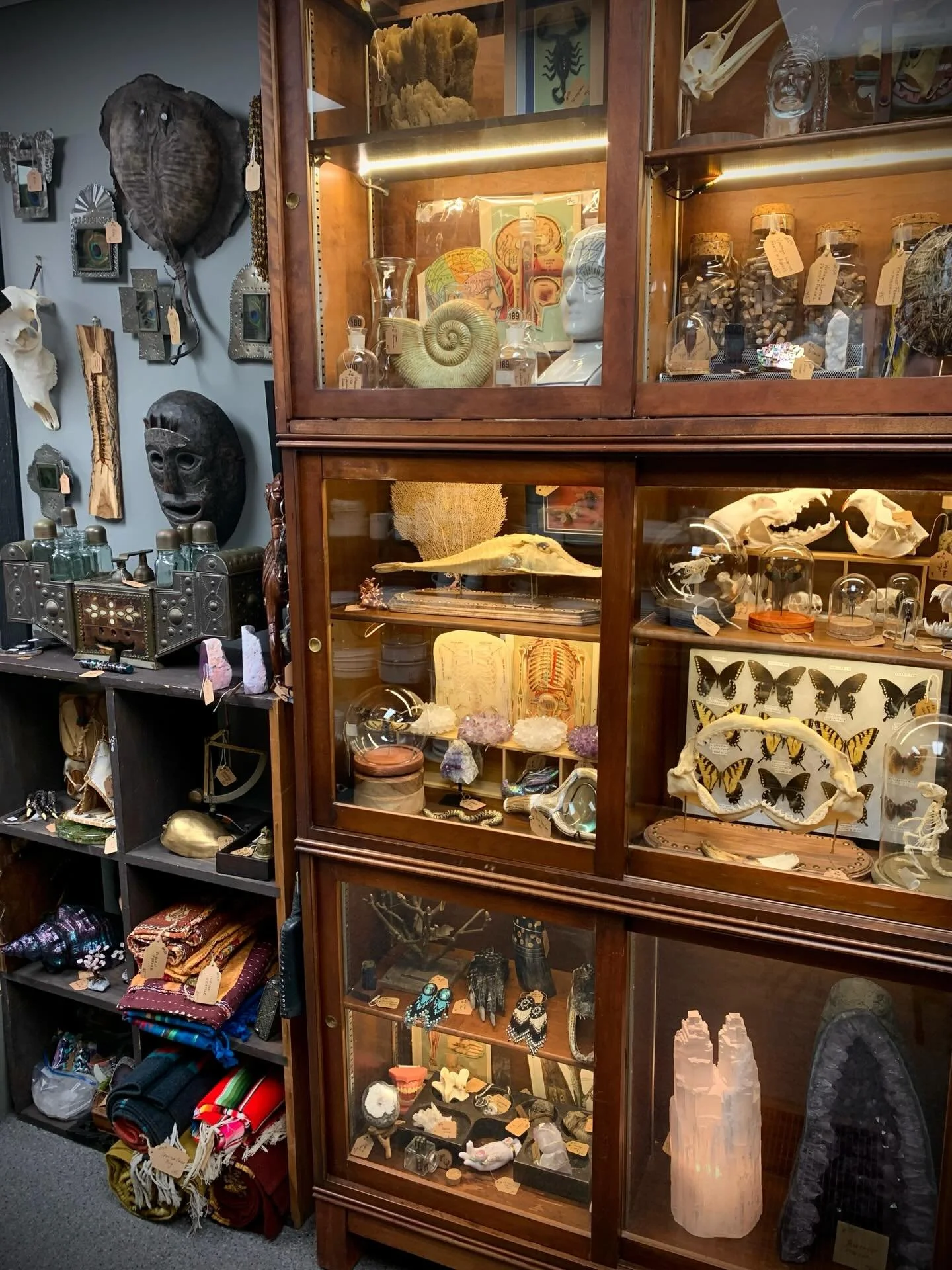 Booth refresh at Corning Antiques &amp; More! 💀 🪨 🦋 🪲