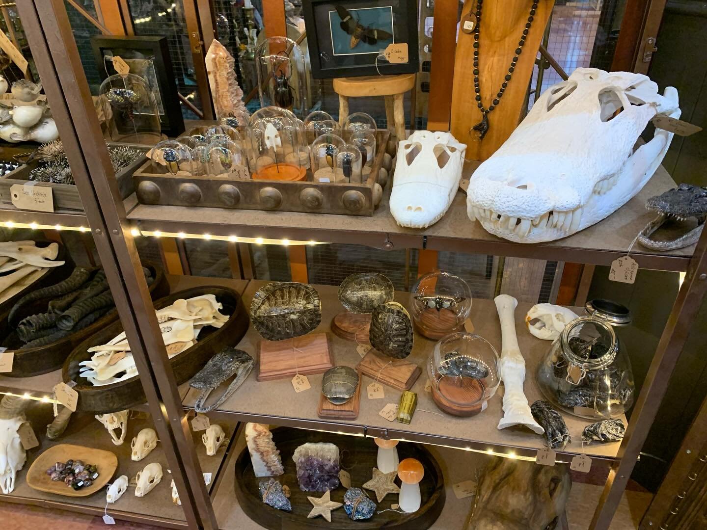 Cursed &amp; Crafted - Sat April 11, 2026

10-4:00 60 Browns Race Road, Rochester, NY